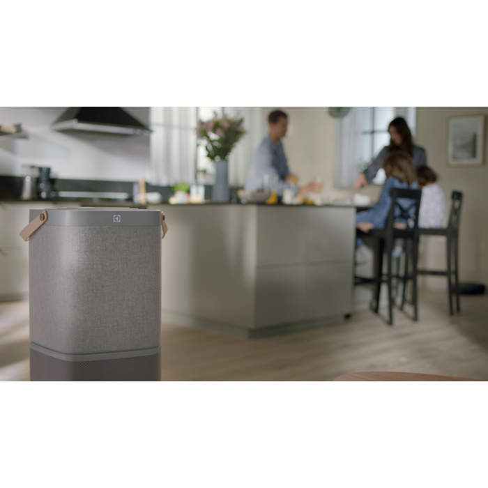 Electrolux - Air Purifier - EFDCAR6