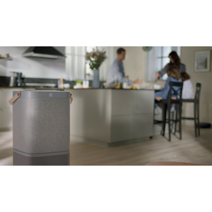 Electrolux - Air Purifier - EFDBRZ6